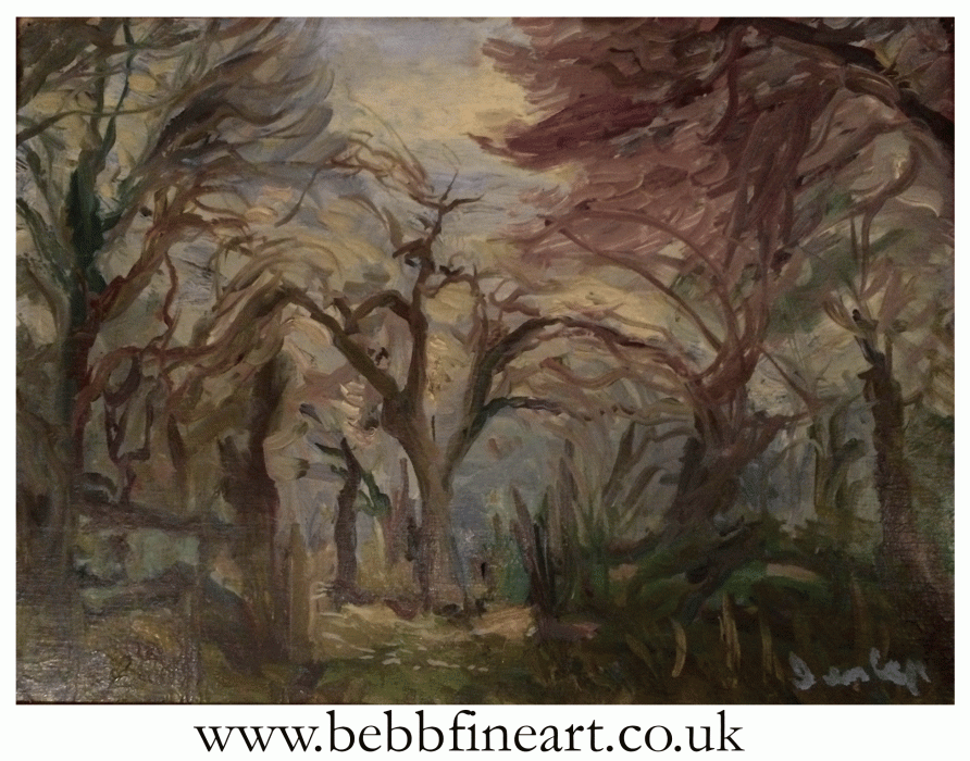 Woodland Scene