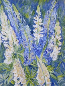 Lupins