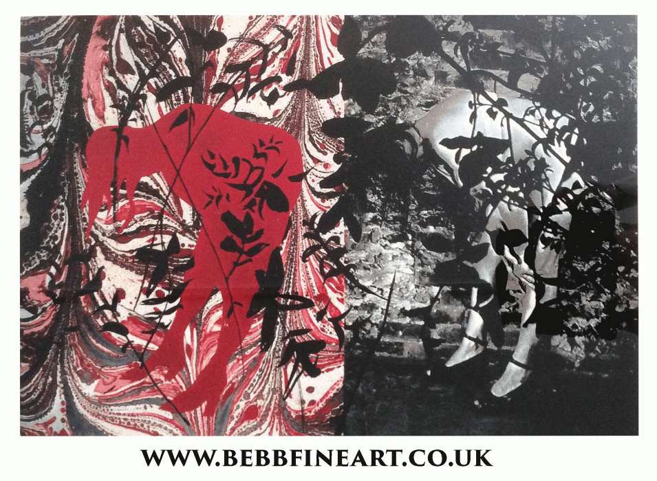 Eye and Camera : Red and Black