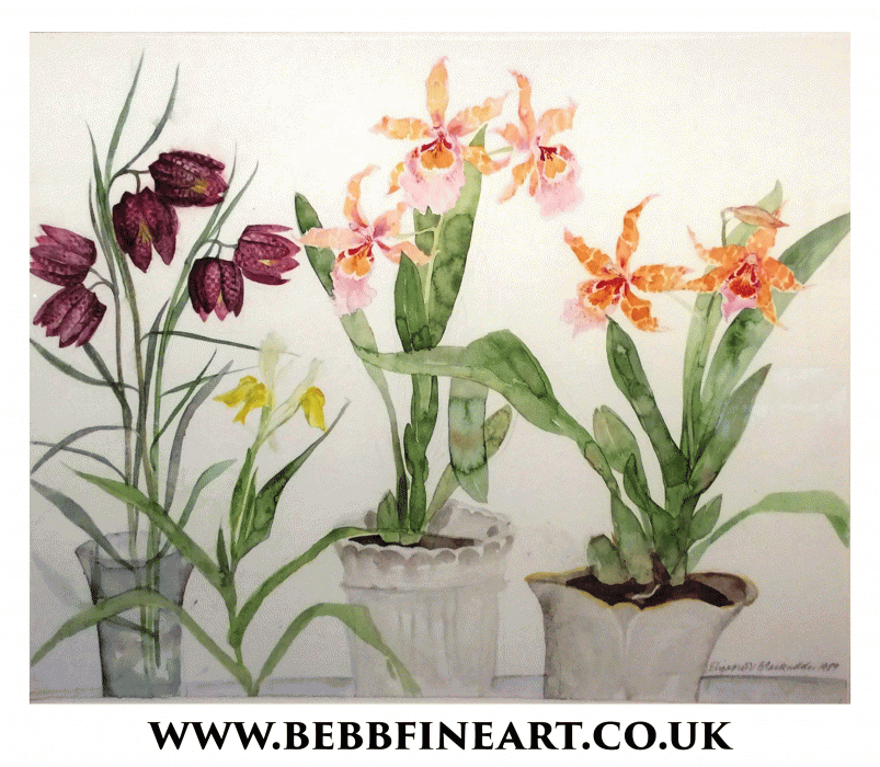 Fratilleries and Orchids