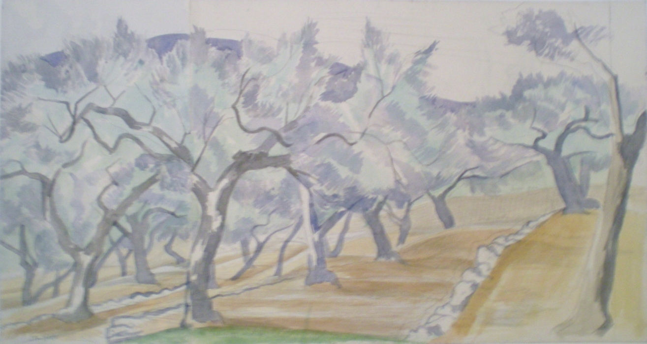 The Olive Grove, near Clavier, Var France