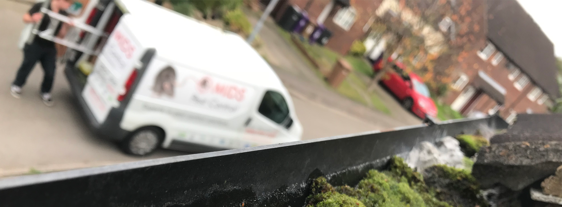 Commercial Pest Contol 1